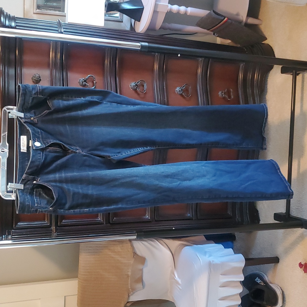 Lane Bryant Jeans